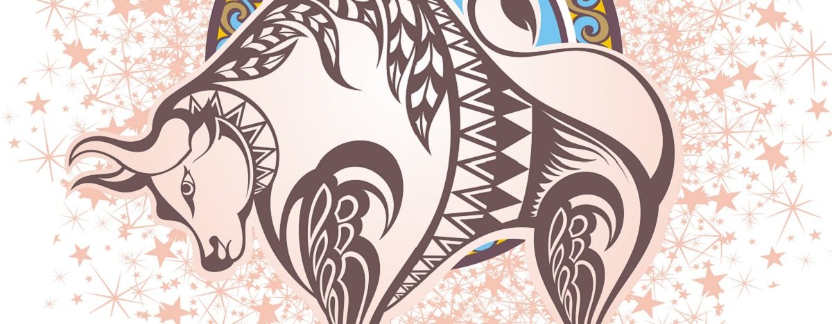 Taurus Girl Lingerie Styles 