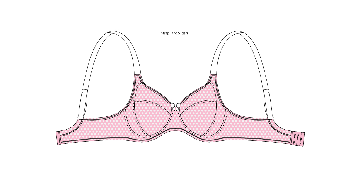Parts of A Bra Anatomy of Bra & The Theory Behind it Zivame
